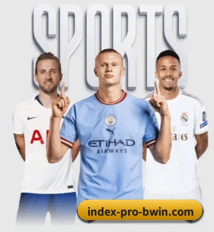 关于我们 - 体育资讯内容服务 - bwin